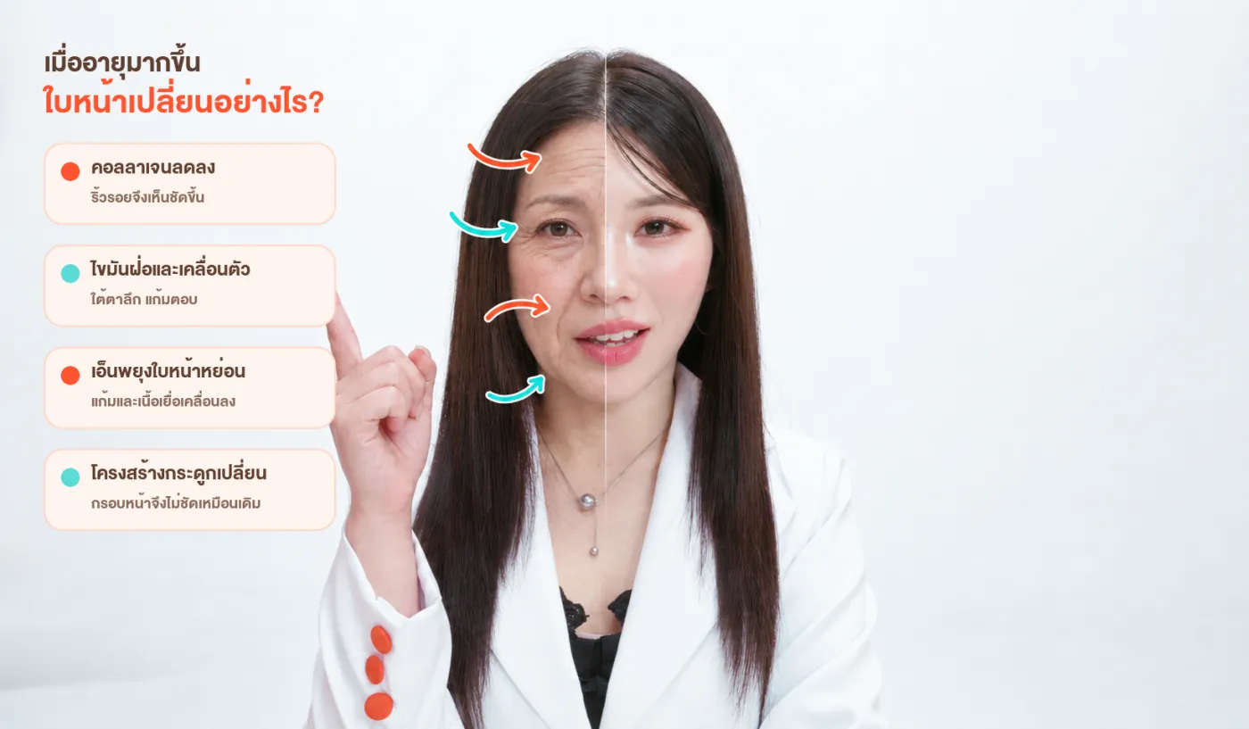 เมื่ออายุมากขึ้นใบหน้าเปลี่ยนอย่างไร — คอลลาเจนลดลงทำให้ริ้วรอยชัดขึ้น ไขมันฝ่อและเคลื่อนตัวทำให้ใต้ตาลึกและแก้มตอบ เอ็นพยุงใบหน้าหย่อน และโครงสร้างกระดูกเปลี่ยนทำให้กรอบหน้าไม่ชัดเหมือนเดิม
